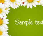Floral Border Vector